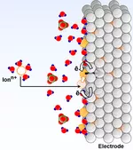 A schematic illustration of the interfacial charge and mass transport in some aqueous battery systems.