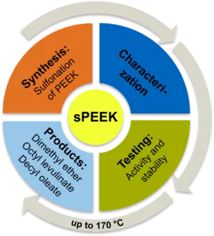 Pathway from synthesis of sPEEK catalysts to product formation via etherification and esterification Pathway from synthesis of sPEEK catalysts to product formation via etherification and esterification