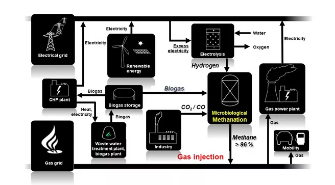 System integration of microbiological methanation 